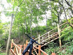 -大岭沟猕猴桃谷风景区