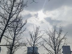 -重庆中央公园(渝北区)