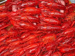 -霸王虾·麻辣小龙虾(清水河公园店)