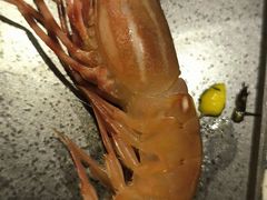 -樱之盛宴·蟹料理海鲜自助(前进大街店)