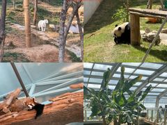 -石家庄市动物园