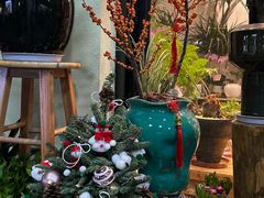 -溪岸路花鸟市场