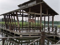 -溱湖国家湿地公园