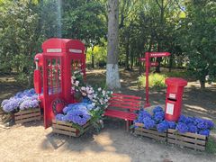 -上海鲜花港