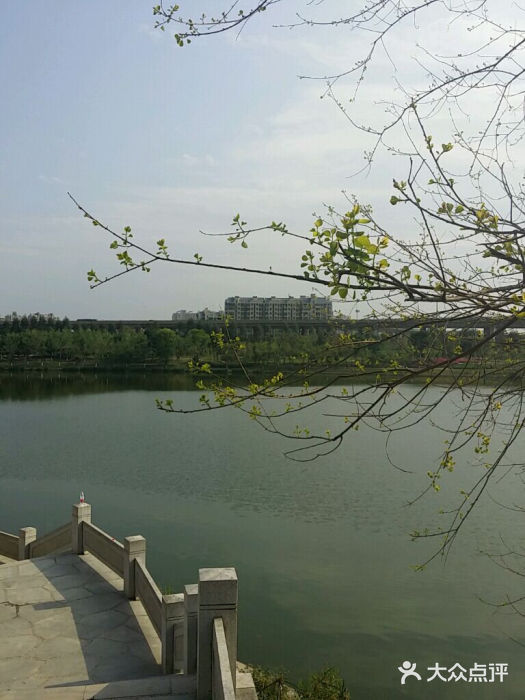 琴亭湖公园android_upload_pic图片