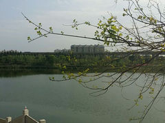 android_upload_pic-琴亭湖公园