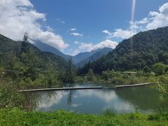 -卧龙中华大熊猫苑神树坪基地