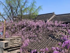-老门东历史文化街区