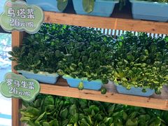 -福苗小骆驼烧烤(曲江店)