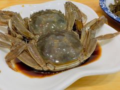 -红灯笼龙凤饭店(宁波老字号店)