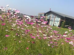 -禾悦庄餐厅