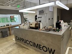 -Cappucimeow猫咪咖啡馆(韦伯时代店)