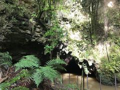 -怀托摩萤火虫洞