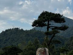 -姑婆山旅游区