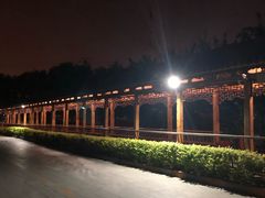 -中国中医科学院望京医院(院本部)