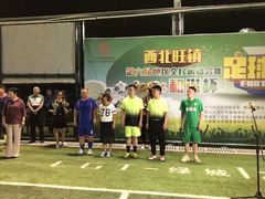 -中关村软件园智云足球场