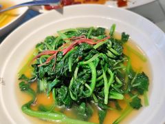 上汤鸡毛菜-苏浙汇(朝外店)