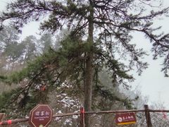 -塔云山
