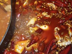 -销魂美蛙鱼头火锅(上海首店)