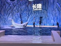 -珠海长隆海洋王国