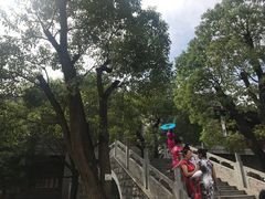 -龙潭水乡