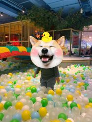 -波比一号儿童乐园(圣熙8号店)