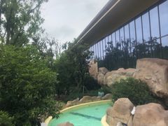 -杭州开元森泊度假乐园