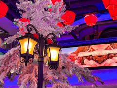 -山河屯铁锅炖鲜鹅·东北菜(开发区一店)