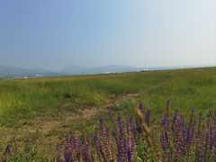 -敕勒川草原文化旅游区