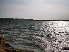 -丁香湖公园