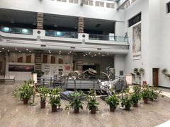 -自贡恐龙博物馆