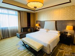 -西安赛瑞喜来登大酒店