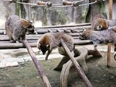 -杭州野生动物世界