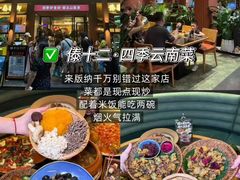 -西双版纳原始森林公园