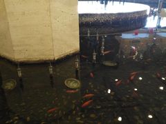 -碧中海汤泉汗蒸酒店