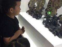-贝壳王国博物馆