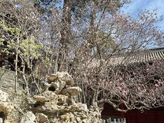 -潭柘寺景区