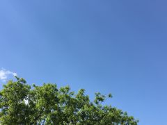 -雕刻时光咖啡馆(北师大店)