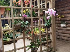 -南山植物园