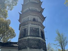 -苏州上方山国家森林公园