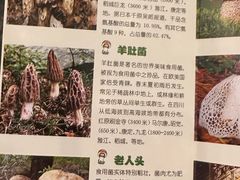 -太婆天府山珍酒楼(亚运村店)