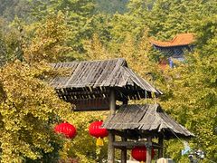 -遵化市禅林寺古银杏风景园