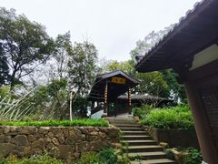 -西湖风景区十里琅珰-五云山