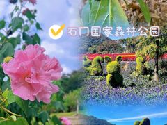 -广州市石门国家森林公园