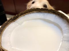 特浓椰子冻-椰爺爺·椰子冻砵仔糕