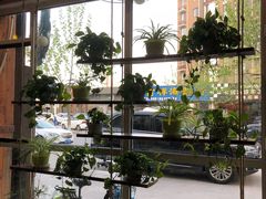 -77号·蒸海鲜青岛菜(积米崖店)