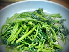 地瓜叶-双塔老饭店