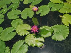 -云溪植物园