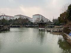 -宏泰园蔬果专业合作社