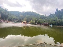 -西双版纳原始森林公园